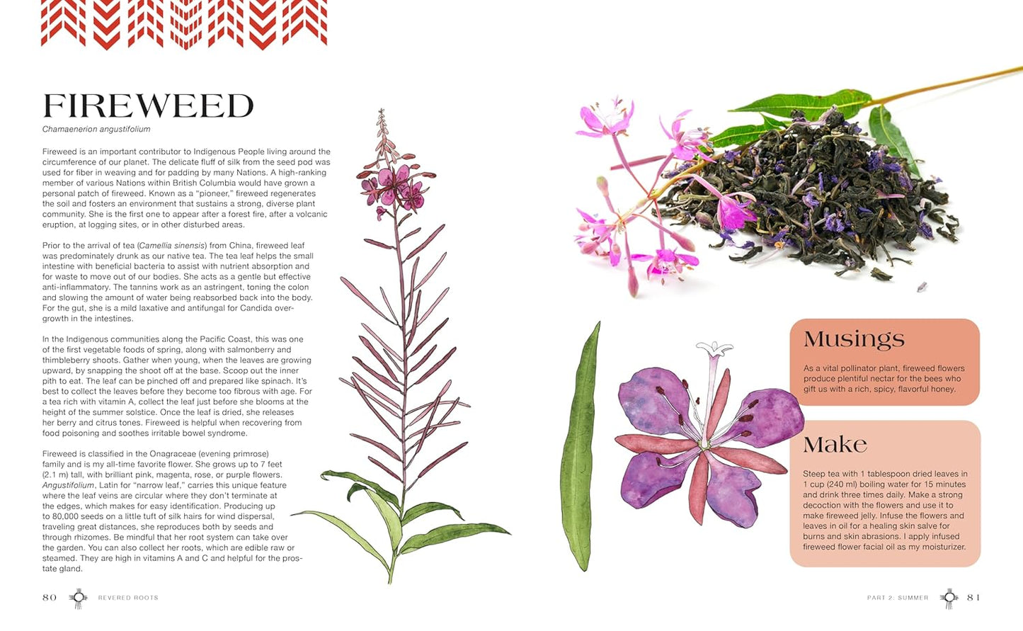 Revered Roots: Ancestral Teachings and Wisdom of Wild, Edible, and Medicinal Plants