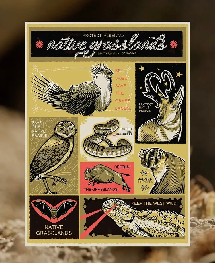 Protect Alberta's Native Grasslands sticker sheet