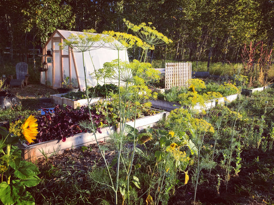 Tender Living Farm