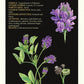 Medicinal Herbs of Western Canada