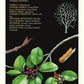 Medicinal Herbs of Western Canada